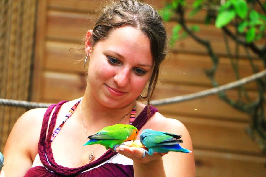 From Ocho Rios: Yaaman Adventure Park ATV Tour with Lunch - Key points to know before booking