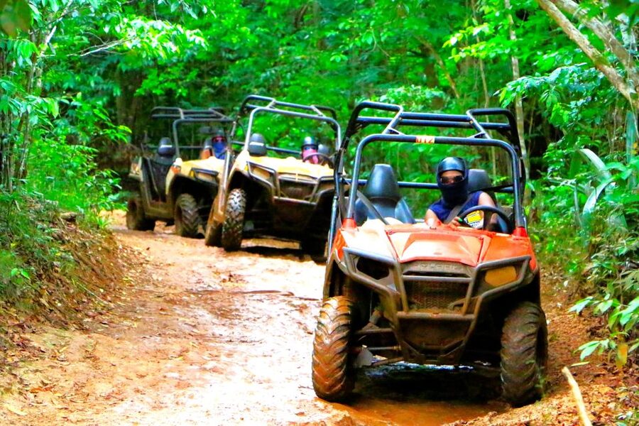 From Ocho Rios: Yaaman Adventure Park ATV Tour with Lunch - Meeting the birds at the aviary