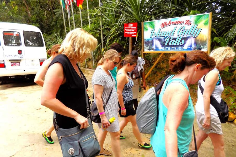 From Runaway Bay: Island Gully Falls and Blue Hole Tour - The ride from Runaway Bay to the Cascade Rainforest