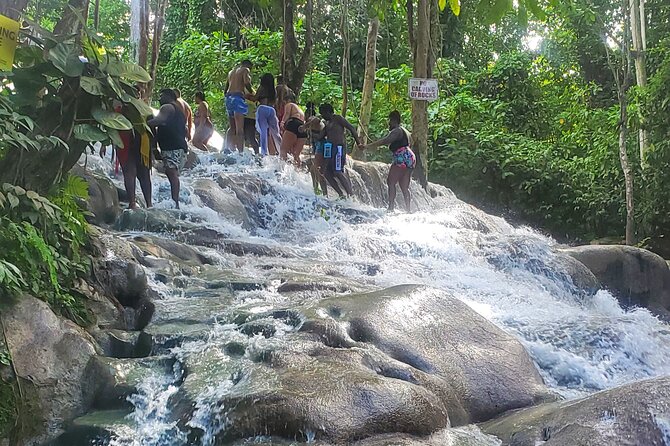 Full-Day Guided Tour to Dunns River Falls & shopping with lunch - The museum and Columbus stop add context
