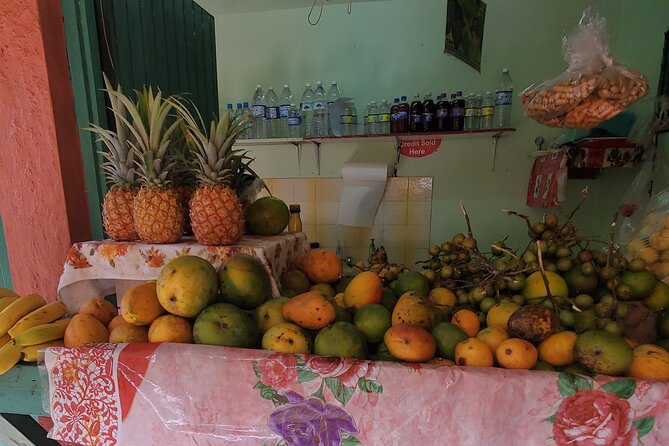 Full-Day Guided Tour to Dunns River Falls & shopping with lunch - Who will enjoy this tour most?