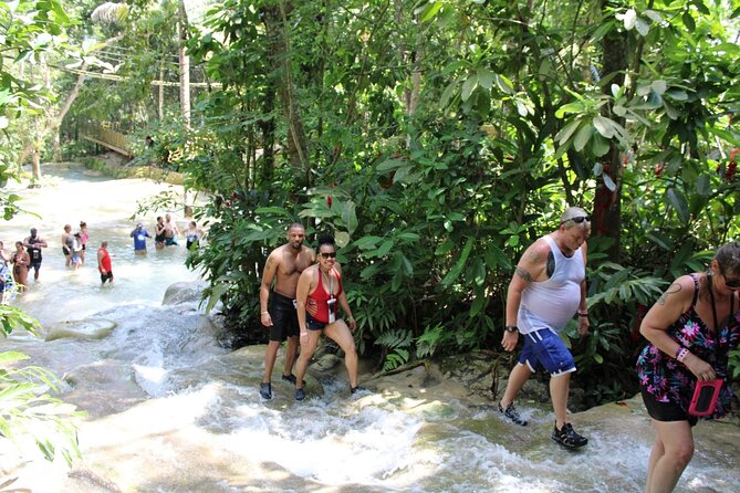 Full-Day Tour of Blue Hole and Dunn's River Falls, Including Fees - The drive from Montego Bay and Trelawny