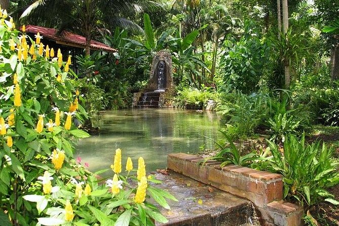 Fun tour for kids with River tubing and Konoko Falls - Key points to know before booking