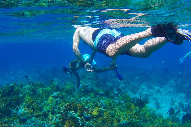 Glass Bottom Boat Ride/Snorkeling/Booby Cay Island from Negril - Key points to know before you book