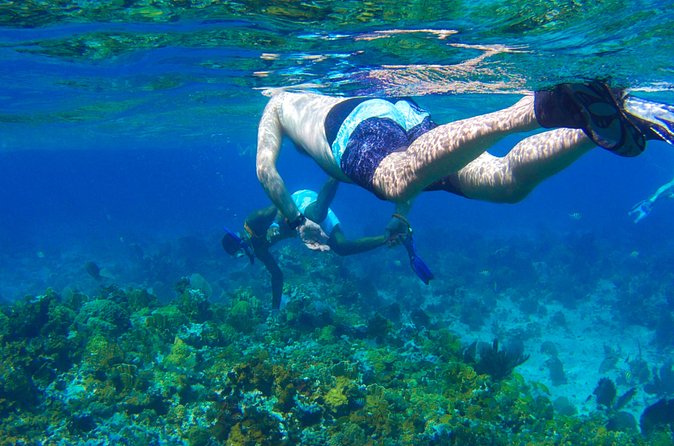 Glass Bottom Boat Ride/Snorkeling/Booby Cay Island from Negril - Who will enjoy this Negril boat trip