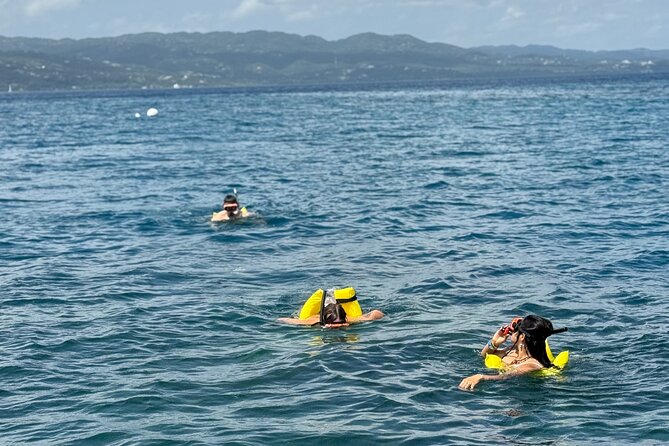 Glass bottom Boat Tour and Snorkeling Experience in Montego Bay - A gentle start over Montego Bay’s coral reefs