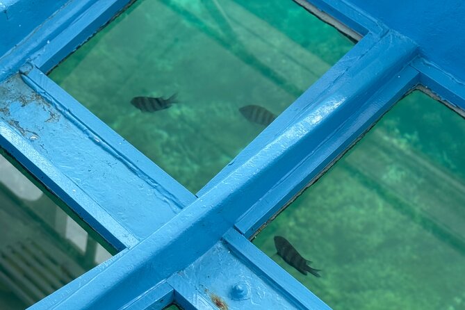 Glass bottom Boat Tour and Snorkeling Experience in Montego Bay - Why the private format matters