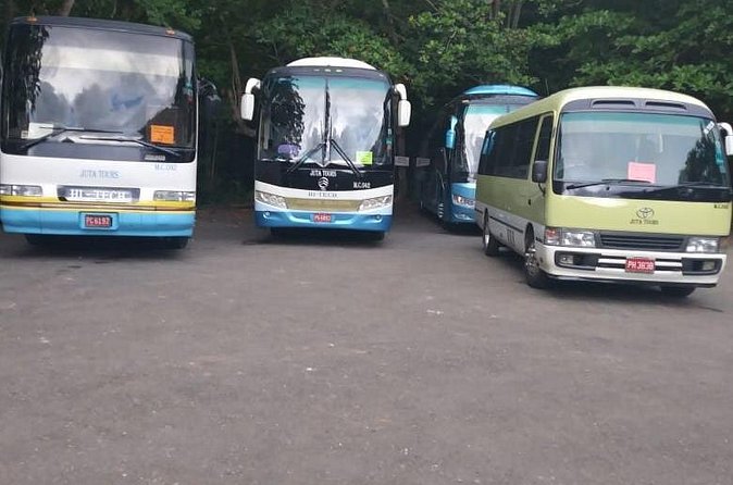 Grand Palladium Lady Hamilton Transfers from Montego Bay Airport - Drivers who add local context