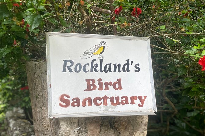 Great River Bamboo Rafting and Bird Sanctuary Combine Tour From Montego Bay - The limestone body massage adds a local touch