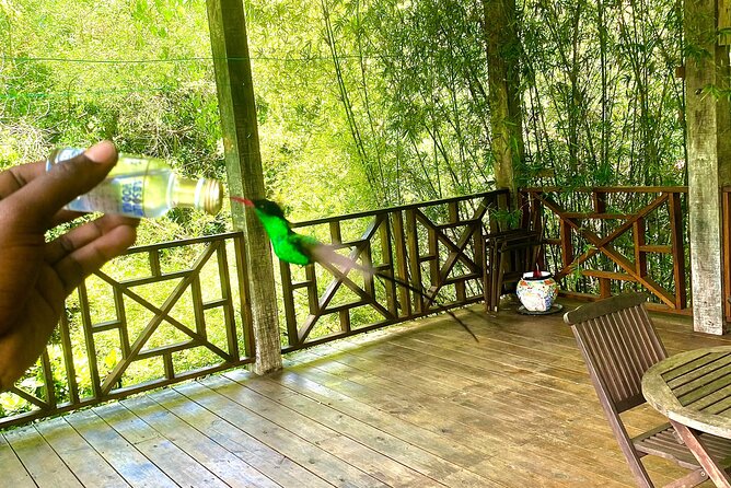Great River Bamboo Rafting and Bird Sanctuary Combine Tour From Montego Bay - Who should book the bamboo rafting and bird sanctuary combination