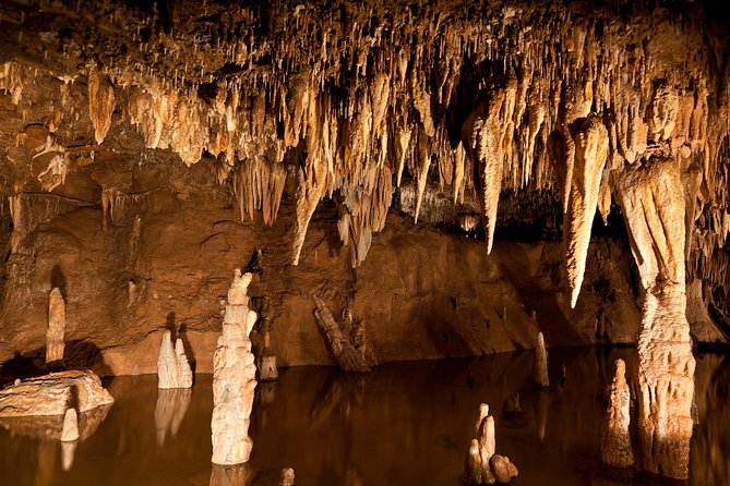 Green Grotto Caves Excursion from Ocho Rios - What the 4-hour outing includes