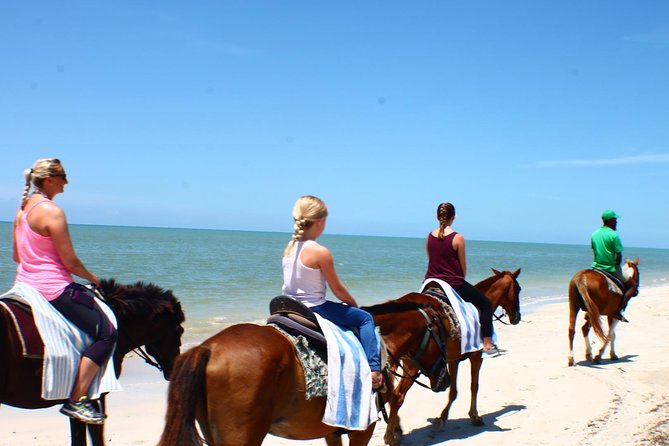Half Day Beach Horseback Riding in Ocho Rios + Lunch - What the 90-minute ride is like