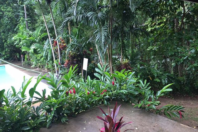 Half-Day Private Martha Brae Rafting Tour from Montego Bay - Scotchies Drax Hall for Jerk Chicken