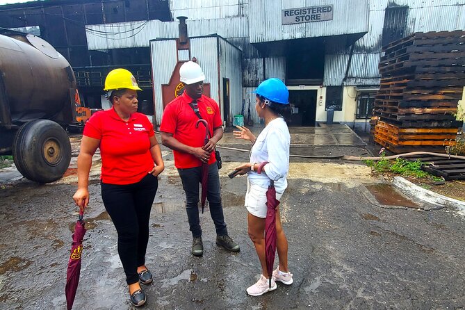 Hampden Estate Rum Tour and Lunch from Montego Bay - The Small Details That Make the Day Easier
