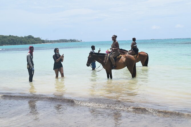 Horse Back Riding and Blue Hole From Montego Bay - From Montego Bay through Rio Bueno