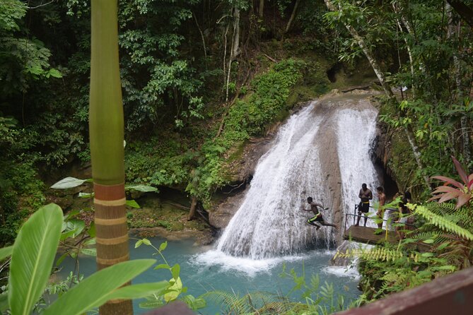 Horse Back Riding and Blue Hole From Montego Bay - Horseback riding to the beach and into the water