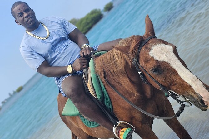 Horseback Ride and Swim Experience Montego with Transportation - What the $110 price covers