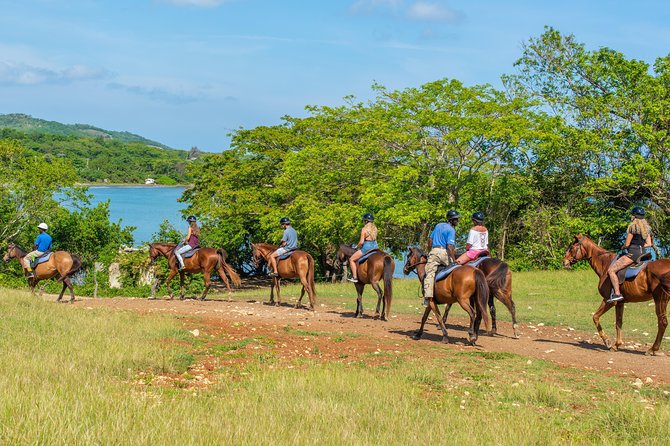 Horseback Ride and Swim from Ocho Rios - The Caribbean Sea ride is the unforgettable finish