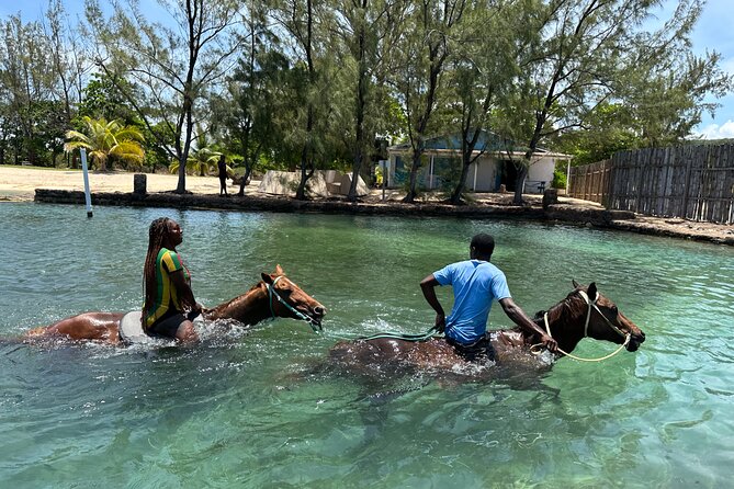 Horseback Ride and Swim Guided Tour from Montego Bay - From Montego Bay to the Sand and Saddle