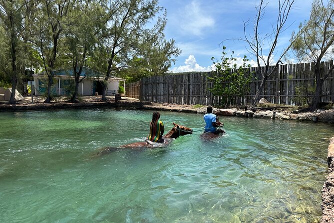 Horseback Ride and Swim Guided Tour from Montego Bay - Returning to the Private Beach