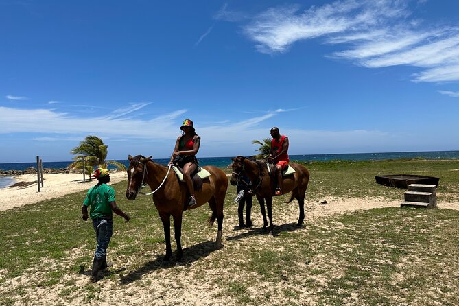 Horseback Ride and Swim Guided Tour from Montego Bay - A Private Tour Changes the Feel