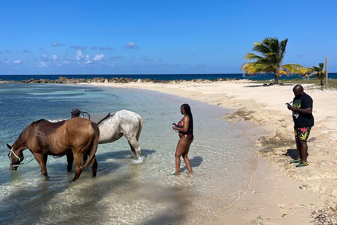 Horseback Ride and Swim Guided Tour from Montego Bay - Is $160 a Fair Price?