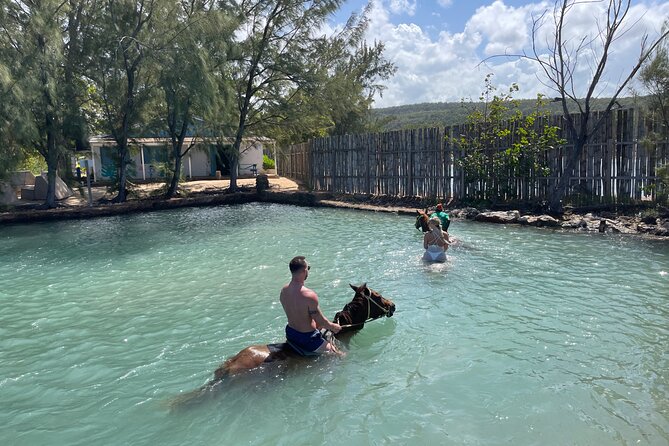Horseback Ride and Swim Tour In Montego Bay - What happens after the riding