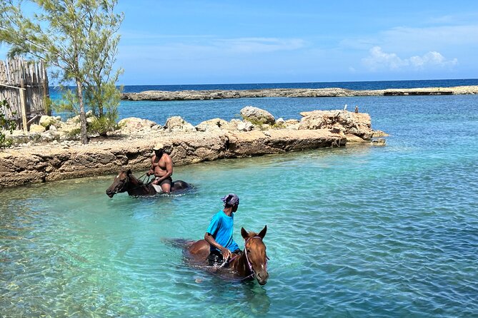 Horseback Ride and Swim Tour In Montego Bay - Weather, timing, and cancellation rules