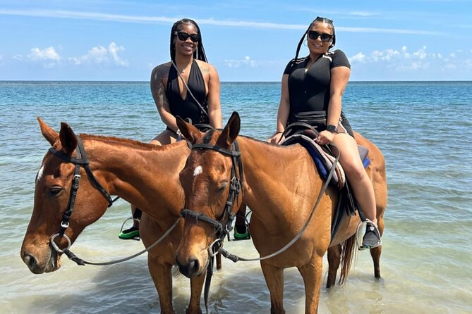 Horseback Ride , Dunns River Falls & Blue Hole From Montego Bay - What the $195 price really buys