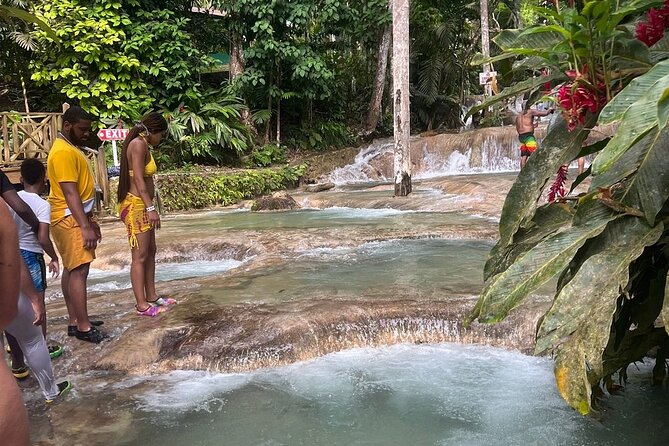 Horseback 'Ride N Swim' & Dunns River Falls from Montego Bay - Who will enjoy this private Jamaica outing?