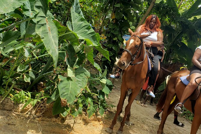 Horseback 'Ride N Swim' & Dunns River Falls from Montego Bay - The horseback ride through forest and sea