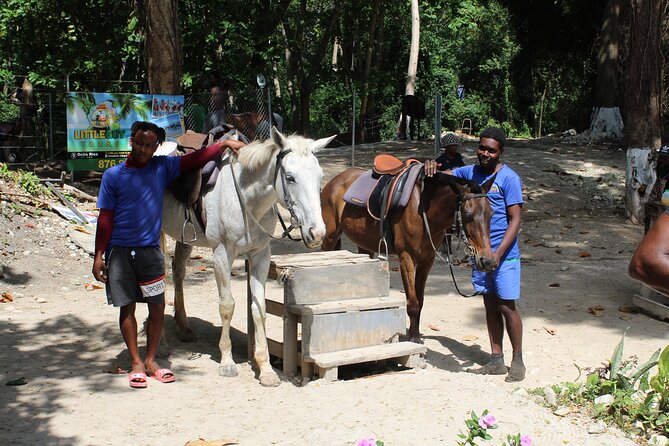 Horseback Ride & Swim Jamaica/Montego Bay - Photos, guides, and the human side of the outing