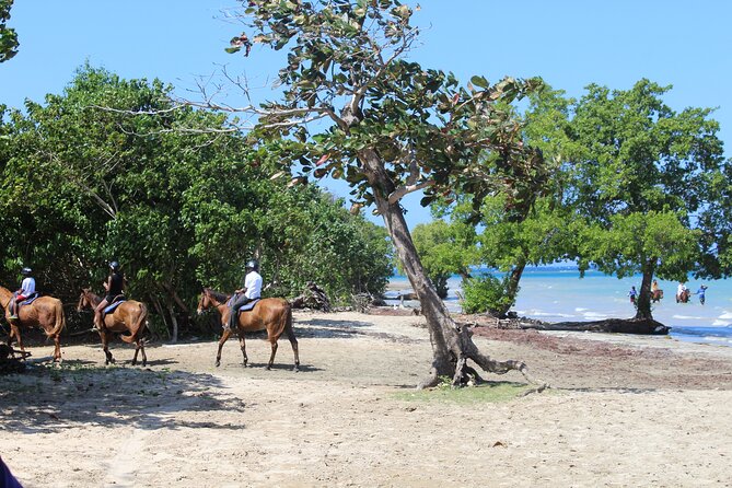 Horseback Ride & Swim Jamaica/Montego Bay - Is $150 a fair price?