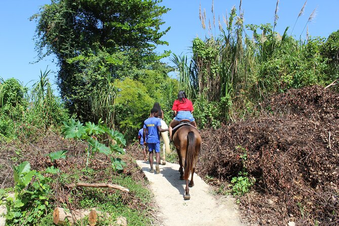 Horseback Ride & Swim Jamaica/Montego Bay - Who will enjoy this Jamaican horseback ride?