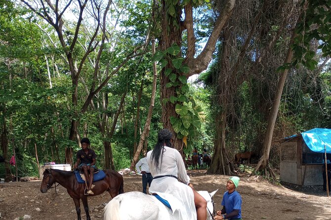 Horseback riding, Blue hole or Dunn's River Combo - Horseback riding from vegetation to the beach