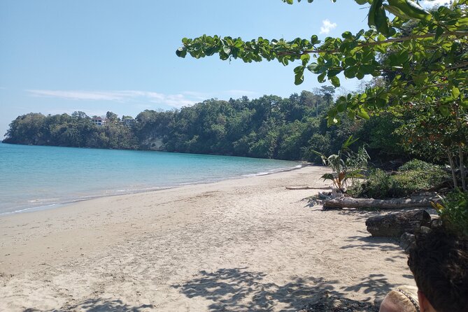Horseback riding, Blue hole or Dunn's River Combo - What private transport adds to the day