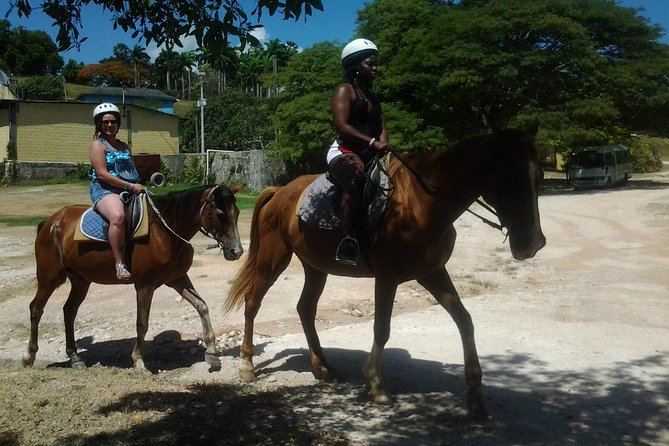 Horseback Riding Dunn's River Falls Adventure from Montego Bay - Key points to know before you book