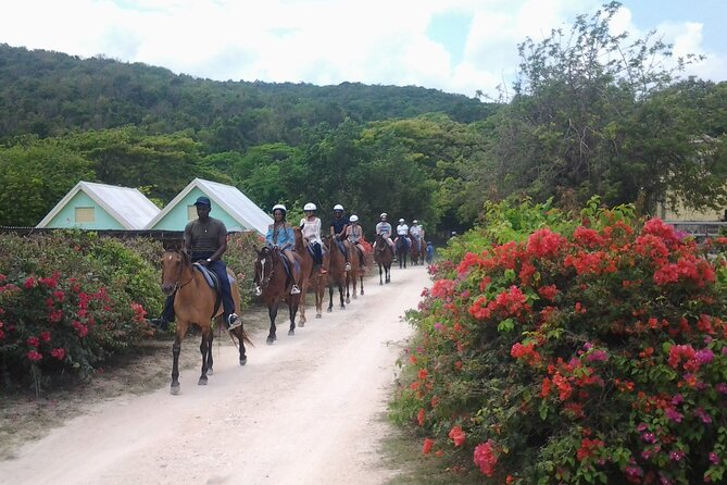 Horseback Riding Dunn's River Falls Adventure from Montego Bay - Farmland views and the ride toward the sea