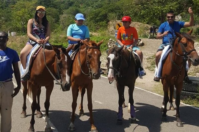 Horseback Riding from Montego Bay - The beach ride and time in the sea