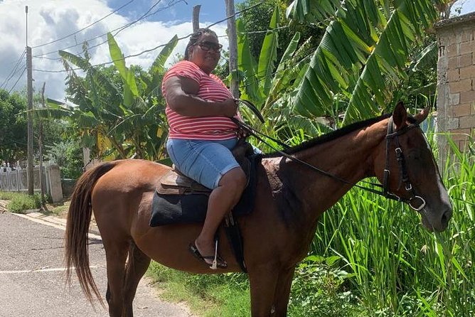 Horseback Riding from Montego Bay - Is the $200 price fair?