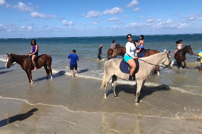 Horseback Riding in the ocean & Bamboo Rafting from Ocho Rios - Animal care and guide conduct deserve your attention