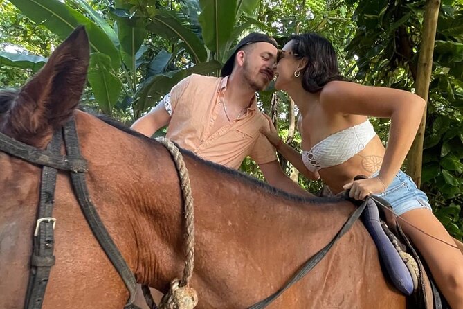 Horseback Riding In The Ocean from Montego Bay Private Transfer - The questions I would ask before paying