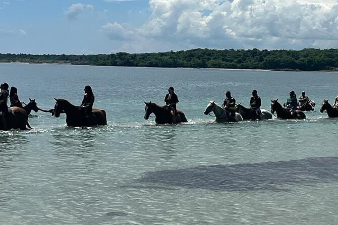 Horseback Riding in the Ocean from Ocho Rios & Runaway Bay - A short nature walk before the horses