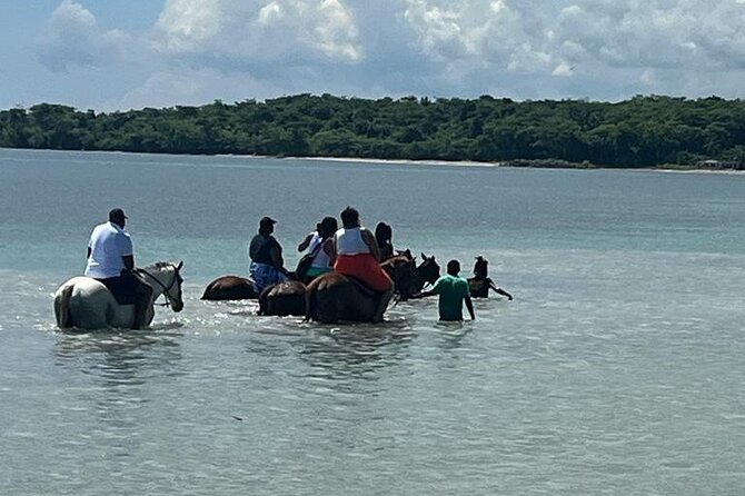 Horseback Riding in the Ocean from Ocho Rios & Runaway Bay - Meeting your horse and riding guides