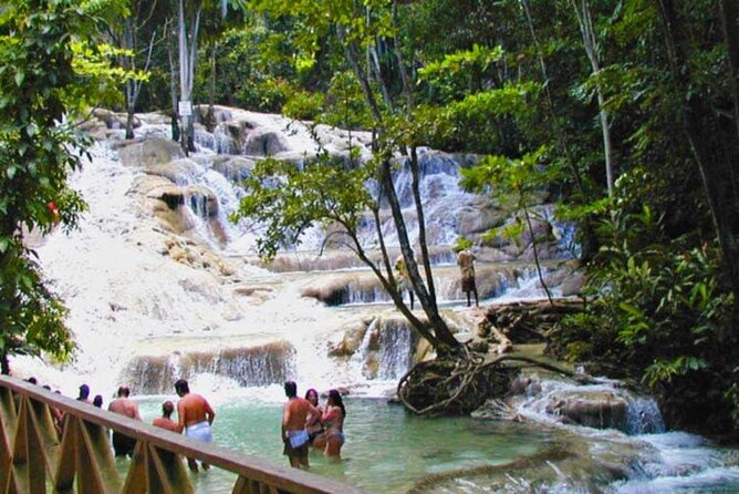 Horseback Riding plus Dunns River Falls Combo Private Tour - Dunn’s River Falls: Wet Climb or Dry Trail