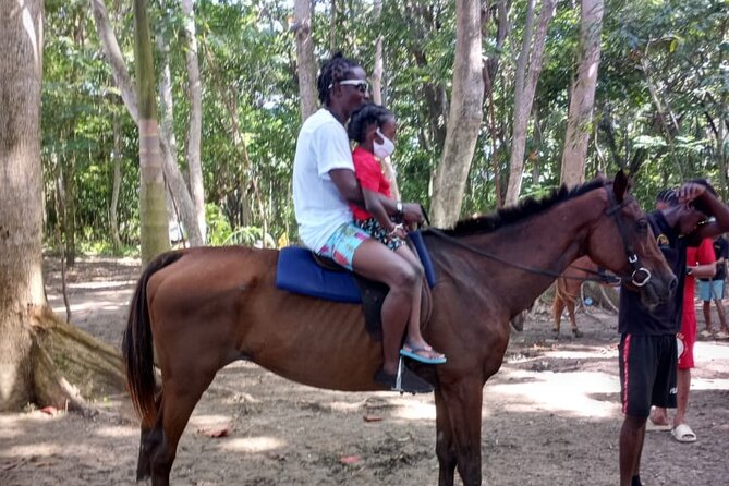 Horseback Riding plus Dunns River Falls Combo Private Tour - Who Will Enjoy This Most