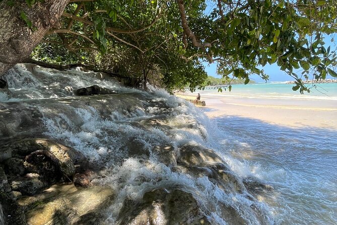 Horseback Riding/Swimming and Dunn's River from Ocho Rios - The four-hour schedule and transport