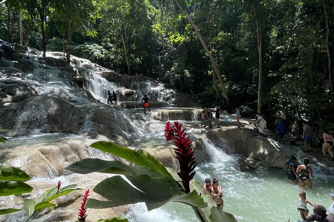 Horseback Riding/Swimming and Dunn's River from Ocho Rios - How demanding is Dunn’s River Falls?