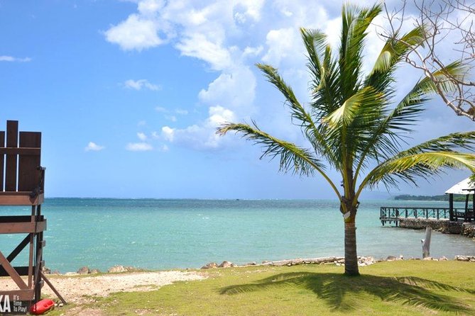 Horseback Riding/Zipline Combo Tour at Chukka Ocean Outpost with Transportation - Horseback riding beside the Caribbean