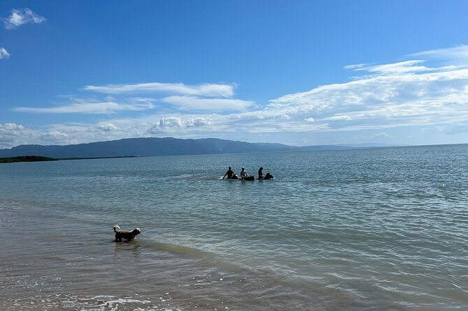 Horseback “SPECIAL”- Negril’s Beach Ride N’ Swim with Free photos/videos - Horses, comfort, and safety